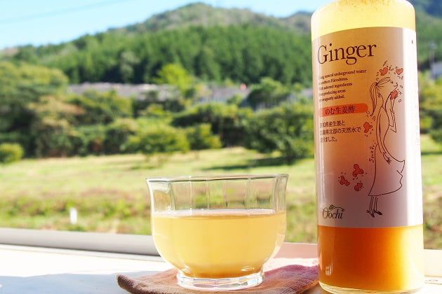 高知県産すりしょうがと純りんご酢などで造った飲みやすい のむ生姜酢 200ml【14600240】