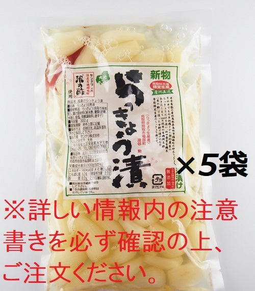 【予約受付開始※日付指定不可※】新物　鳥取砂丘らっきょう漬　1.5kg【42201202】【LINEクーポン使用不可商品】
