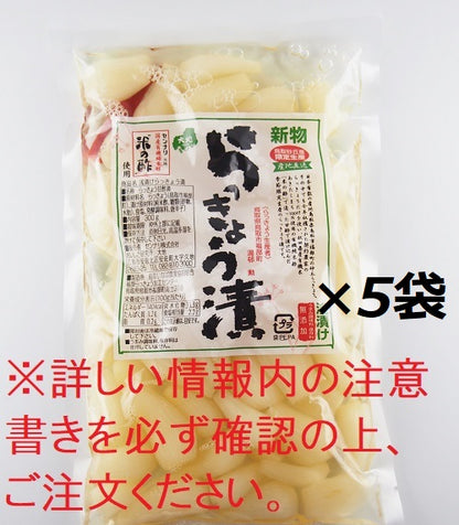【予約受付開始※日付指定不可※】新物　鳥取砂丘らっきょう漬　1.5kg【42201202】【LINEクーポン使用不可商品】